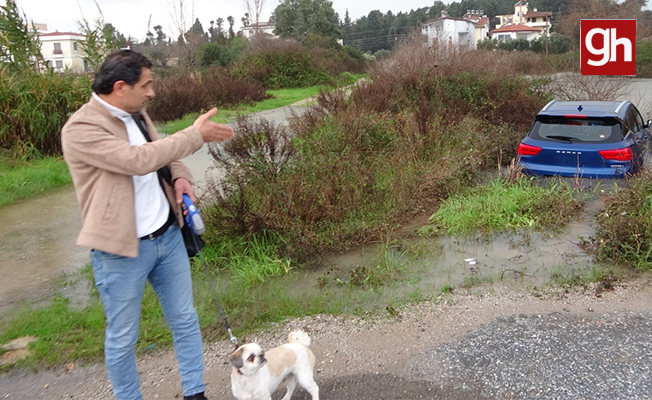 Havlayan köpeği dikkatini dağıtınca şarampole uçarak suya daldı Havlayan köpeği dikkatini dağıtınca şarampole uçarak suya daldı