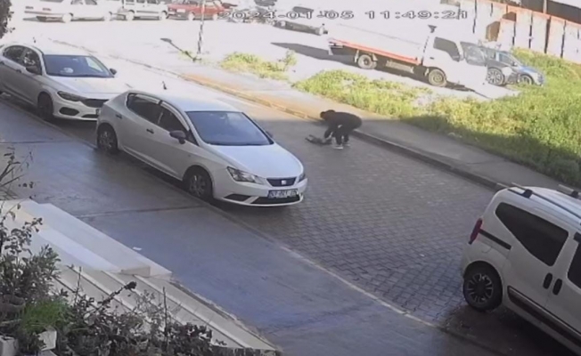Otomobilin çarpıp kaçtığı kedi, sahibinin kucağında öldü Otomobilin çarpıp kaçtığı kedi, sahibinin kucağında öldü