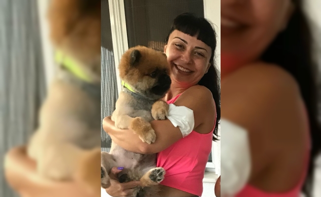 Pandemide sahiplenmesi için verdiği köpeği geri alıp vermedi, mahkemeden emsal karar çıktı Pandemide sahiplenmesi için verdiği köpeği geri alıp vermedi, mahkemeden emsal karar çıktı