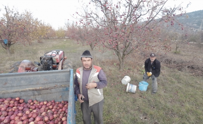 Tarlada çalışan babaya 'dron' şakası gülme krizine soktu Tarlada çalışan babaya 'dron' şakası gülme krizine soktu