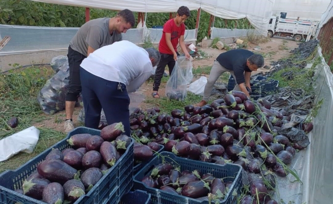 İsraf olacak ürünleri bağışladılar