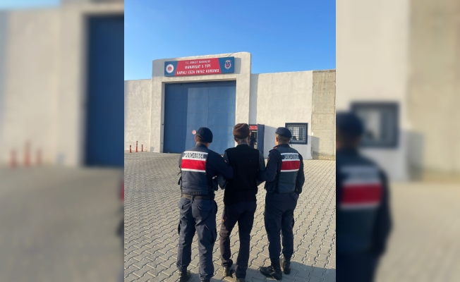 Yaşlı kadının ölümüne sebep olan çoban köpeklerinin sahibi tutuklandı