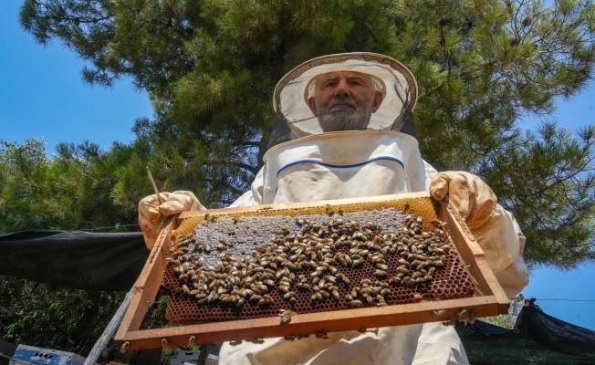 75 yaşında, üç çeşit bal üretiyor