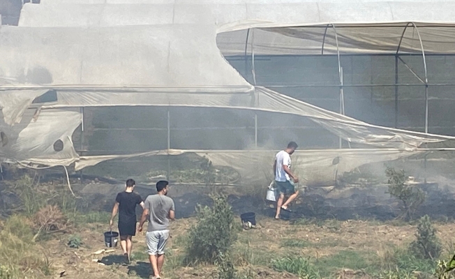 Serik'te korkutan yangında seralar zarar gördü