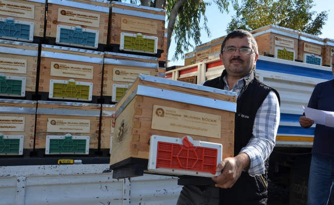 Bal üreticilerine arı kovanı hibe edildi
