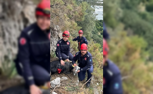 300 metrede 3 gündür mahsur kalmıştı... Operasyonla kurtarıldı! 300 metrede 3 gündür mahsur kalmıştı... Operasyonla kurtarıldı!