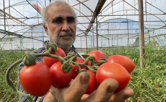 Aksulu üreticiden fiyat farkına tepki!