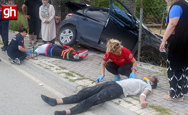 Karşı şeride geçerek bahçedeki palmiyeye çarptı!