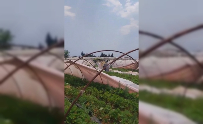 Aksu ilçesi orman yangınıyla mücadele ederken Serik'i hortum vurdu Aksu ilçesi orman yangınıyla mücadele ederken Serik'i hortum vurdu
