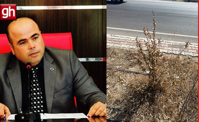 Aksu Kent Konseyi ve Üreticiler Birliği’nden Çağrı!