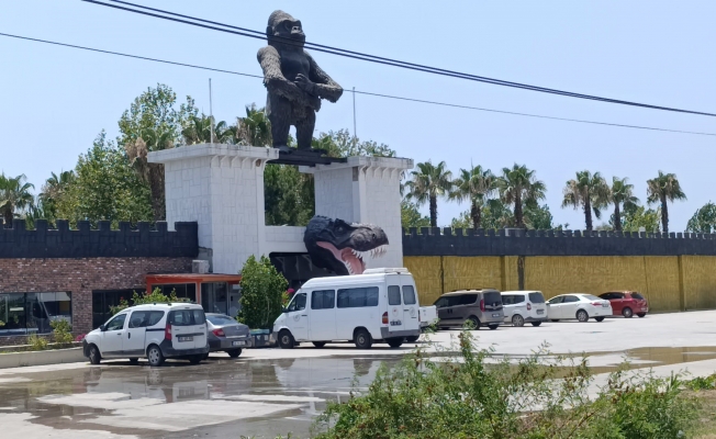 Antalya'da aslanın kaçtığı hayvanat bahçesinin denetimi sürüyor