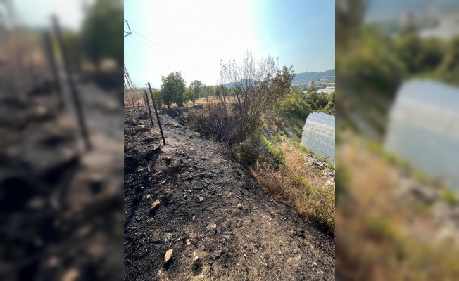 Alanya'da otluk alanda çıkan yangın büyümeden söndürüldü Alanya'da otluk alanda çıkan yangın büyümeden söndürüldü