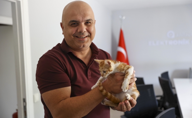 Çaya düşüp hayatta kalma mücadelesi veren yavru kediyi ekipler kurtardı