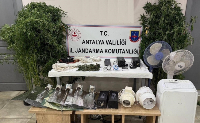Evini uyuşturucu serasına çevirdi, kaçamadı