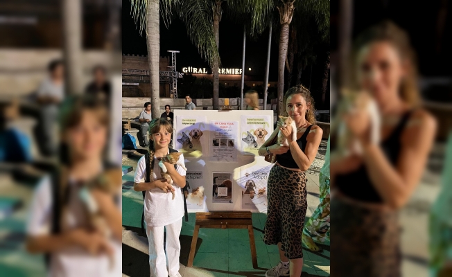 İki konserde 15 evcil hayvan sahiplendirildi