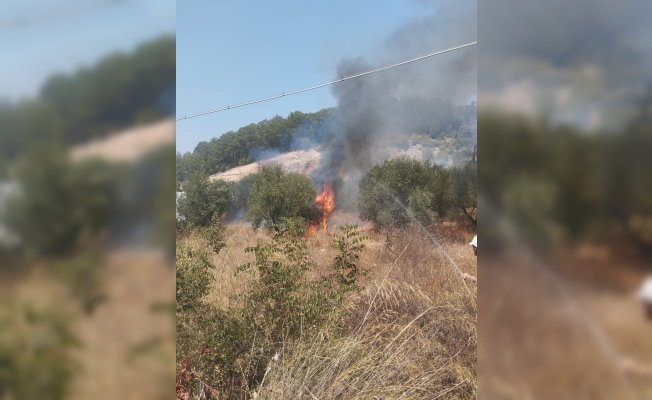 Kumluca’da çıkan yangında bir dönüm zeytinlik alan yandı Kumluca’da çıkan yangında bir dönüm zeytinlik alan yandı