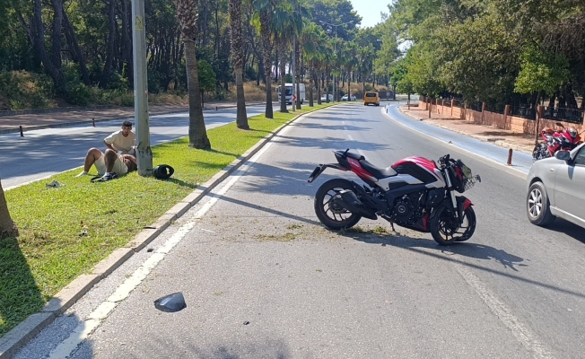 Motosiklet palmiye ağacına çarptı, sürücü yaralandı Motosiklet palmiye ağacına çarptı, sürücü yaralandı