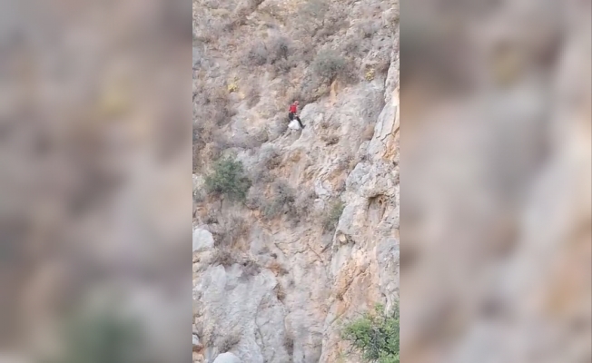Serik’te uçurumda 3 gündür mahsur kalan keçi, ekipler tarafından kurtarıldı