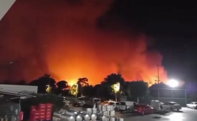 Aksu'da ormanlık alanda yangın