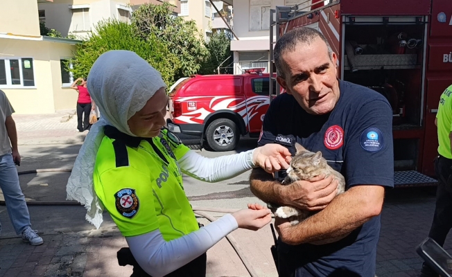 Dolabın arkasında saklanırken bulundu!