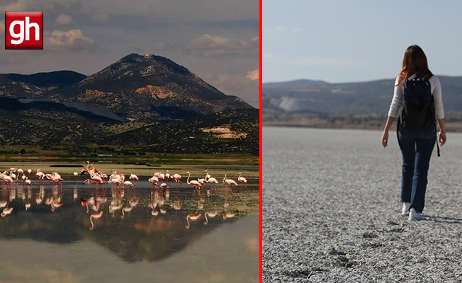 Flamingoları ağırlayan gölde şimdi sadece ayak izleri kaldı