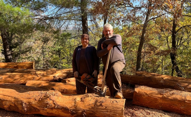 Karı-koca 35 yıldır ormanlarda damgalanan ağaçları kesiyorlar