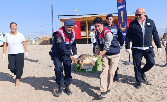 Tedavisi tamamlanan caretta caretta denizin maviliğine kulaç açtı
