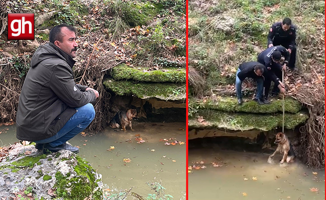  Aksu'da dereye düşen köpek duyarlı vatandaş sayesinde kurtarıldı