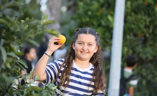 Dokumapark’tan toplanan portakallar vatandaşlarla paylaşıldı