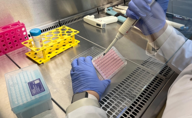 Parkinson’da bağırsak- beyin iletişimi çip üstü organ teknolojisiyle araştırılıyor