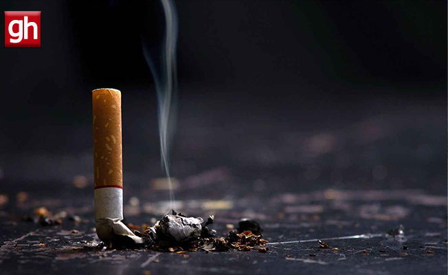 Sigara izmaritindeki DNA, ‘define arandı’ iddiasını aydınlatacak!