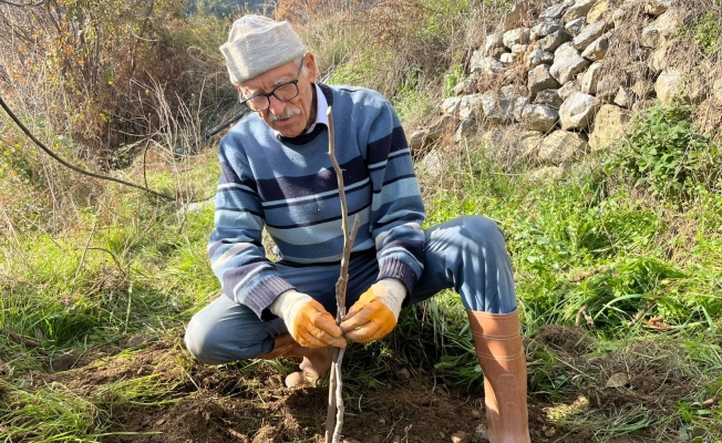Antalya'da 82 yaşındaki yeminli mali müşavirden köy hayatına örnek proje