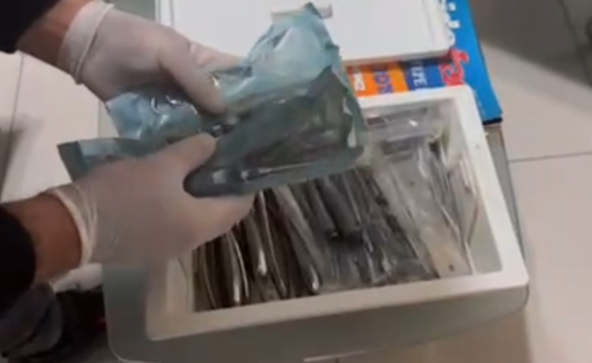 Antalya'da diplomasız kaçak diş tedavisi yapan şüpheliye operasyon