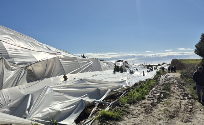  Manavgat'ta hortumdan zarar gören bölgelerde hasar tespit çalışması yapıldı