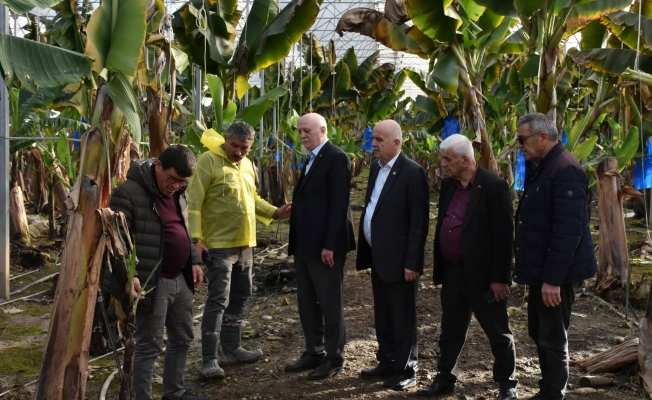 TZOB Genel Başkanı Bayraktar: "Doğal afetler tarım sektörünü her geçen yıl daha fazla etkilemektedir"