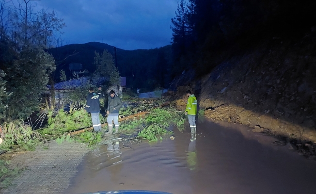 Antalya Gündoğmuş'ta dereler taştı, piknik alanları su altında kaldı