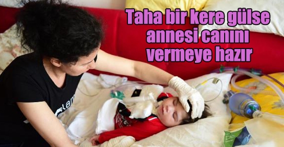 2 yaşındaki Taha'nın yaşam mücadelesi