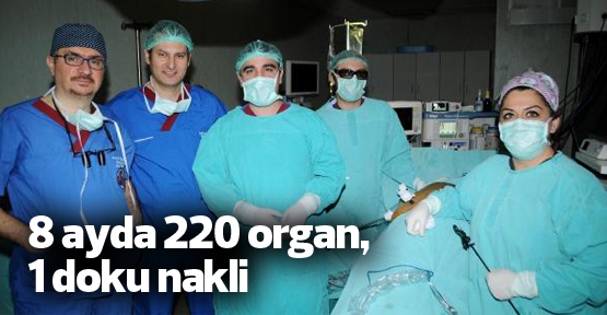 8 ayda 220 organ, 1 doku nakli
