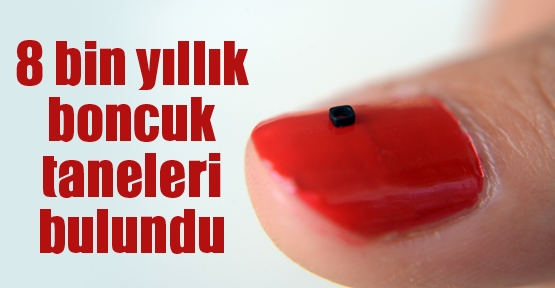 8 bin yıllık boncuk taneleri bulundu