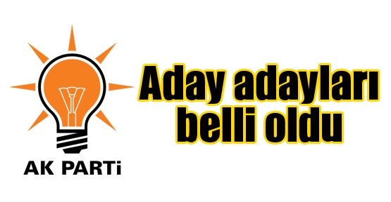 AK Parti’nin aday adayları belli oldu