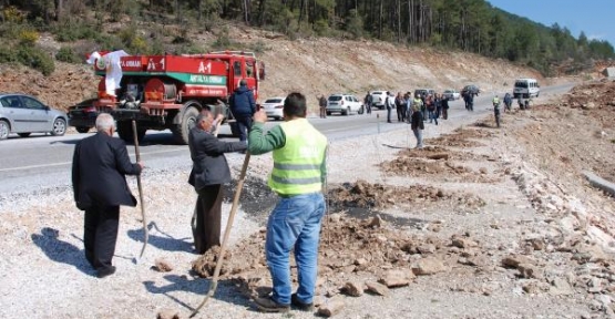 Akseki'de ağaçlandırma çalışmaları