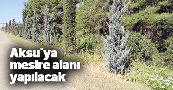 Aksu'ya mesire alanı yapılacak