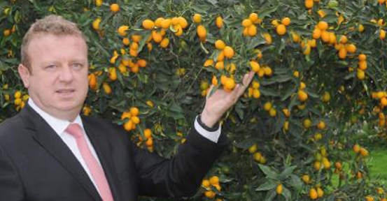 'Altın portakal' kamkatın kilosu 20 TL