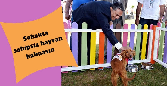 Antalya'da 'Sokak Hayvanları Festivali' başladı