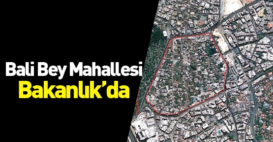 Bali Bey Mahallesi Bakanlık'da