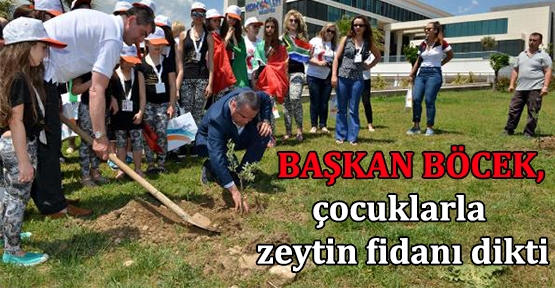 Başkan Böcek, çocuklarla zeytin fidanı dikti