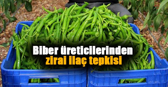 Biber üreticilerinden zirai ilaç tepkisi