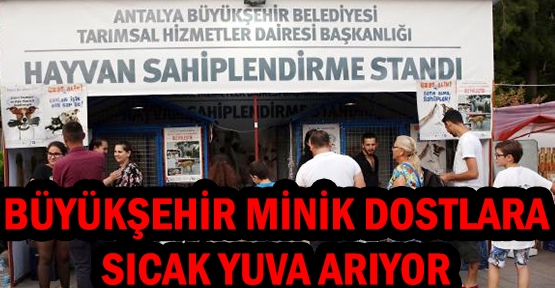 Büyükşehir minik dostlara sıcak yuva arıyor