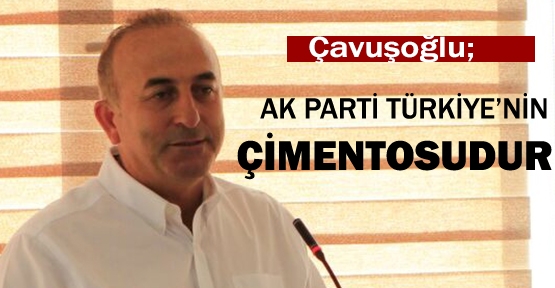 Çavuşoğlu; “AK Parti Türkiye’nin çimentosudur”
