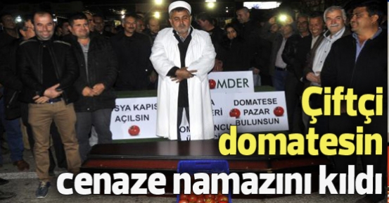 Çiftçi domatesin cenaze namazını kıldı